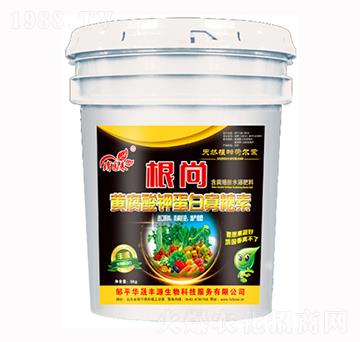 �S����⛵��׹�����-����-�A���SԴ