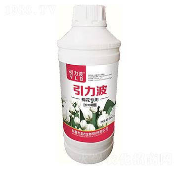 �޻���(zhu��n)�������Ƅ�-������-���r(n��ng)����