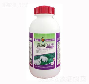 �������(l��i)�~���-������(y��u)