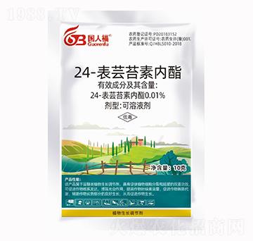 24-���|̦�؃�(n��i)��-��(gu��)�˸�