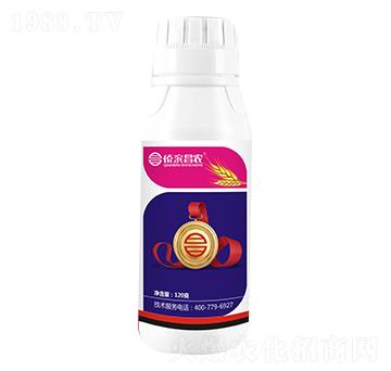 12%���ѡ��������x-�S�I���r(n��ng)-���˸�