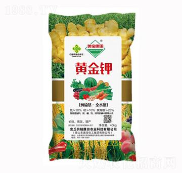 �S���-���N����