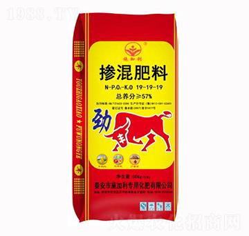 �������19-19-19-ʩ����