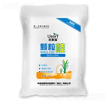 �w����-���ظ�-�����Z����