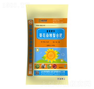 �����s�Z���Ϗͻ����1