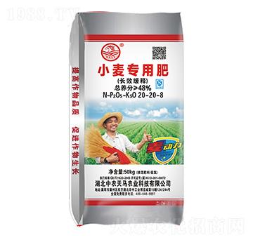 �LЧ���С�����÷�20-20-8-���r(n��ng)���R