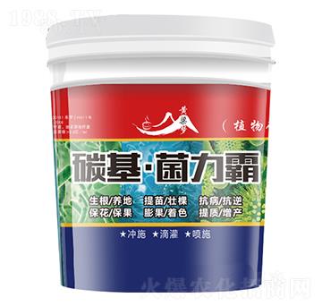 ̼����������-�S����-�����r(n��ng)�I(y��)