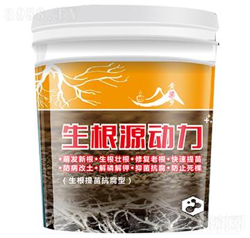 ����Դ��(d��ng)��-�S����(m��ng)-�����r(n��ng)�I(y��)