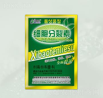 �����������~���-���@����