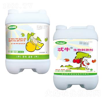 �ʿ���������̼���-�A��