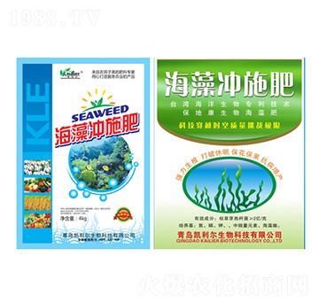 ����_ʩ��-�P����