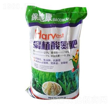 ��ֲ�ᵪ��-���ؿ�-�P����