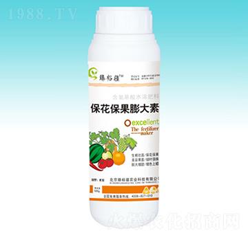 �������������-��ԣ��