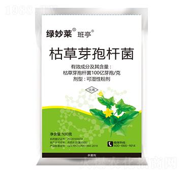 �ݲ�ѿ�ߗU��-�G���R��ͤ-������A