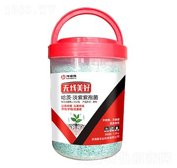 ���ġ��������߾�-�o(w��)������-�P��˹