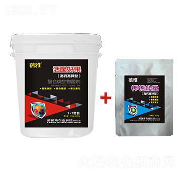 高鈣高鉀型復(fù)合微生物菌劑-蓓雅-凱瑞斯