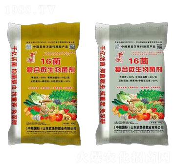 �ͺ�΢�������-16��-��������