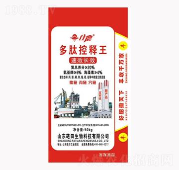 ���Ŀ����-��������