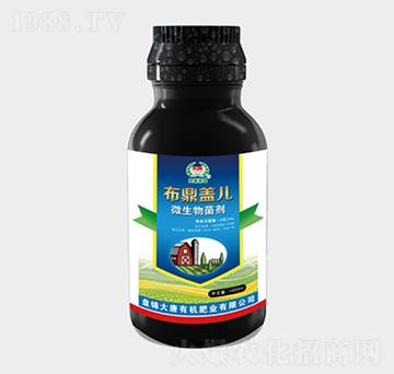 ΢�������-�����w��-�|չ�r�I(y��)