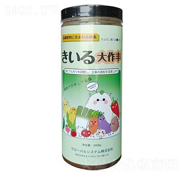 �߼�����-�����S-��Ƚ���Q(m��o)