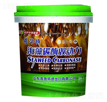 ����̼ø�p����-������