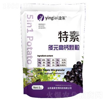 ��Ԫ���}�w��-����-ӯ�R����