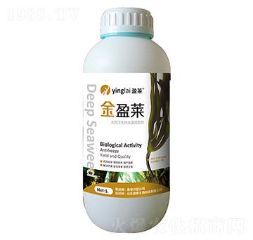 ��������Ȼ������ȡ��-��ӯ�R-ӯ�R����