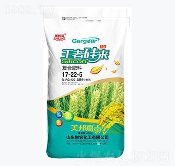40kg��(f��)�Ϸ���17-22-5-ʩ����-���r(n��ng)����