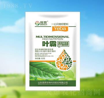 �~��-��������