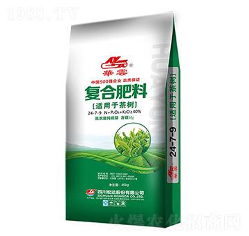 ��䌣�Ï�(f��)�Ϸ���2-4-7-�A��-���_(d��)�ɷ�