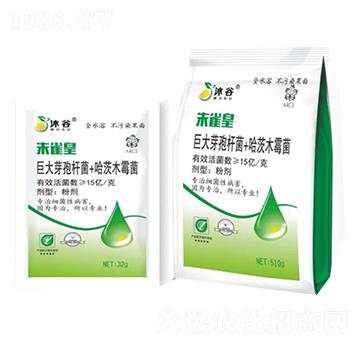 �޴�ѿ�ߗU��+����ľù��-��ȸ��-�������