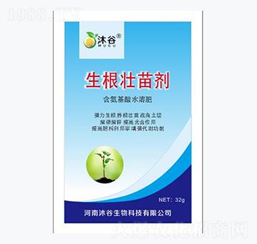 �������焩-�������