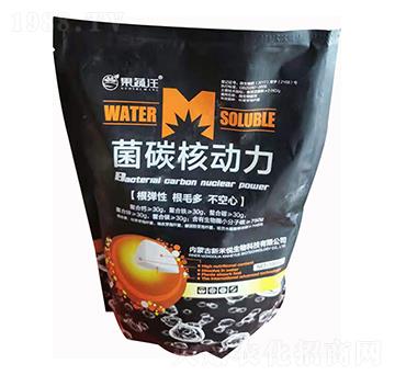 ��̼�˄���-�º̐�