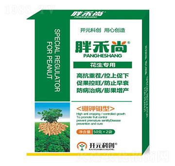 50g������(zhu��n)��-�ֺ���-����ֲ��