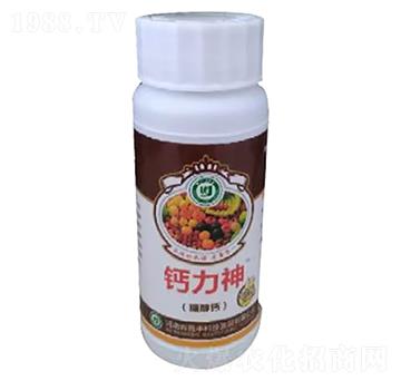 �Ǵ��}-�}����-���S�Ƽ�