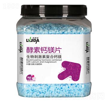 �����}�VƬ-�G���}-������