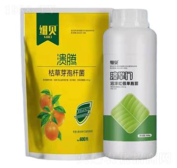 �ݲ�ѿ�ߗU��+�ӝɼt�نΰ���-���v+�����T��(x��)ؐ-������