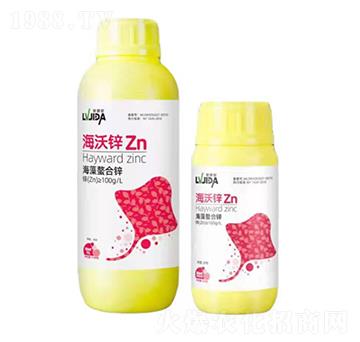 ���������\-�����\-������