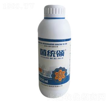 1kg΢�������-���y(t��ng)�I-�ĺ�����