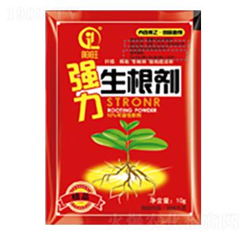 ��(qi��ng)��������-���л���