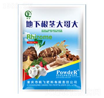 ���¸��o����-���л���