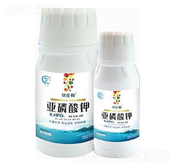 �������-ؐ����-���л���