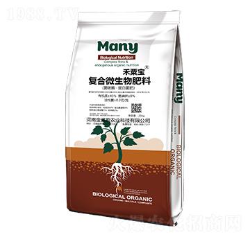 �ͺ�΢�������-���ڌ�-��Mӯ�r(n��ng)�I(y��)