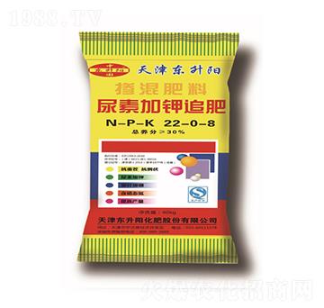 ���ؼ��׷��-�������22-0-8-�|���(y��ng)