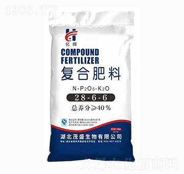 �ͺϷ���-28-6-6-����-����