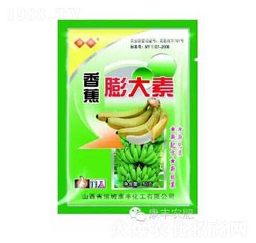 �㽶�����-���S�r��