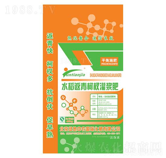 水稻返青柯杈灌漿肥-綠地中農(nóng)