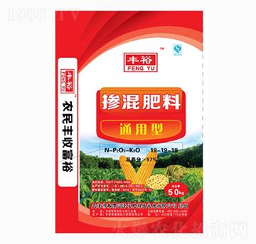 �������19-19-19-�Sԣ-�����r�I(y��)