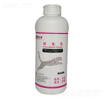 ��(y��u)����-��(y��u)����