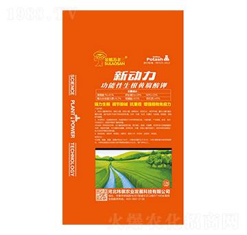 �����������S�����-����-�|���r�I(y��)